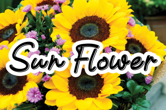 Discovering Sun Flower: A Handwritten Font with Modern Flair