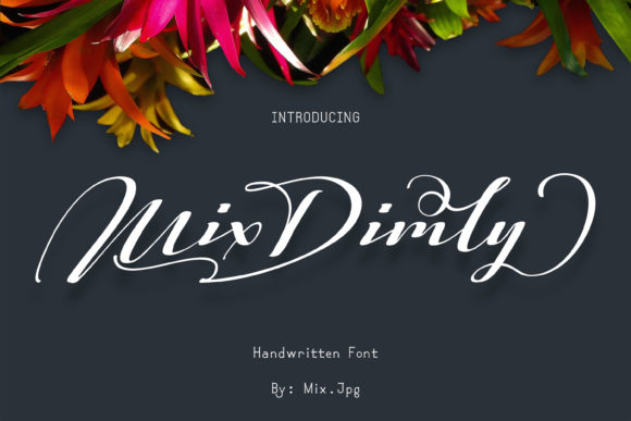 Mix Dimly: A Timeless Script Font for Digital Design