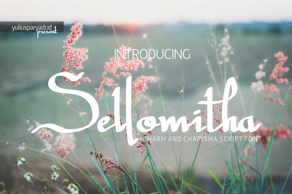 Sellomitha: The Font That Elevates Your Brand