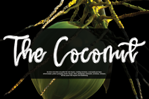 The Coconut: A Font That Elevates Your Brand