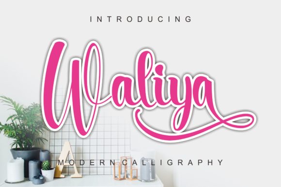 Waliya: The Font That Elevates Your Brand
